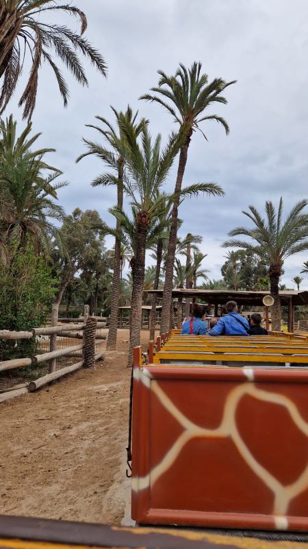 Río Safari Elche vlacek