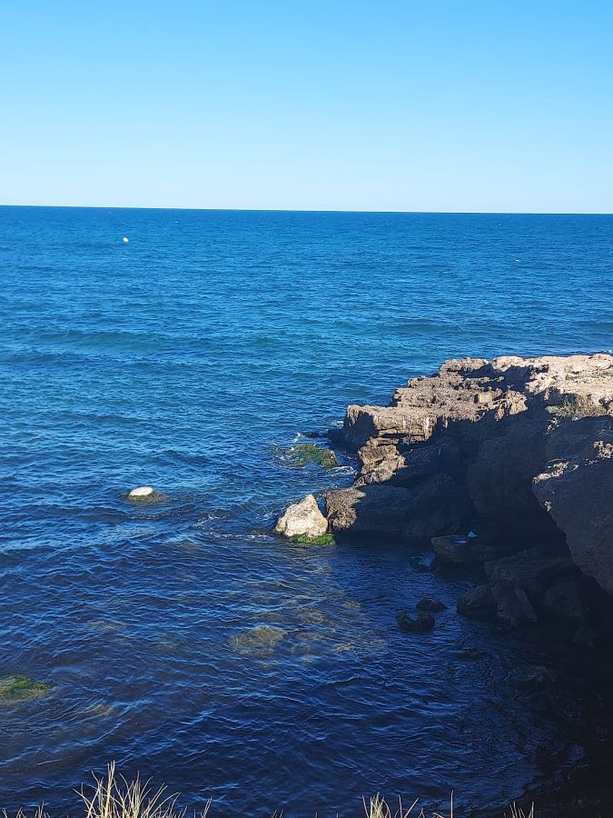 Calas de Torrevieja