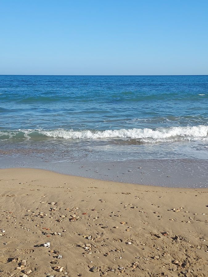 La Mata